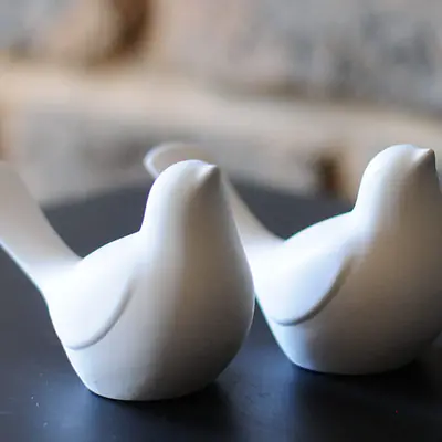 Minimalist Bird duo primary image