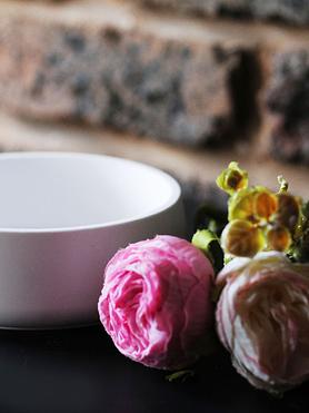 The Haven Medium Versatile Bowl