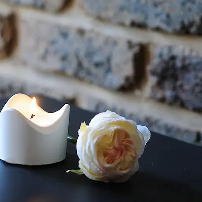 The Willow Scalloped Tealight Vessel primary image