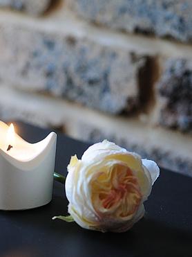 The Willow Scalloped Tealight Vessel