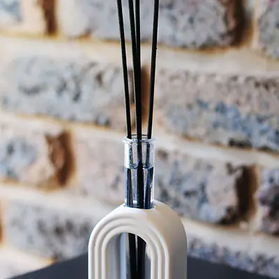 The Portal Arched Propagation Vase primary image