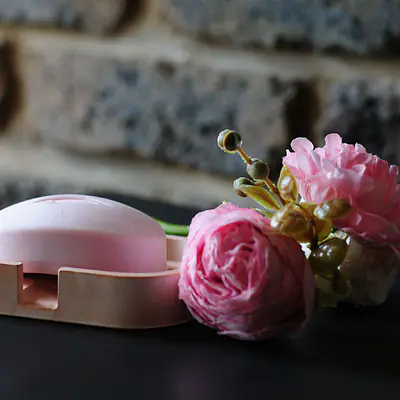 The Cascade Self-Draining Soap Dish primary image