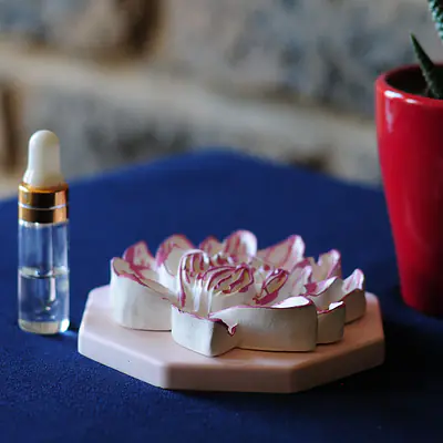 The Lotus Bloom Passive Aroma Stone & Fragrance Set primary image