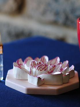 The Lotus Bloom Passive Aroma Stone & Fragrance Set